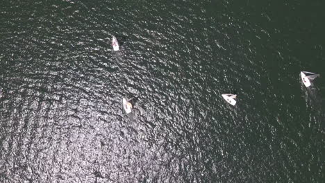 aerial - sailboats during a regatta in lake vichuquen, chile, wide shot top down