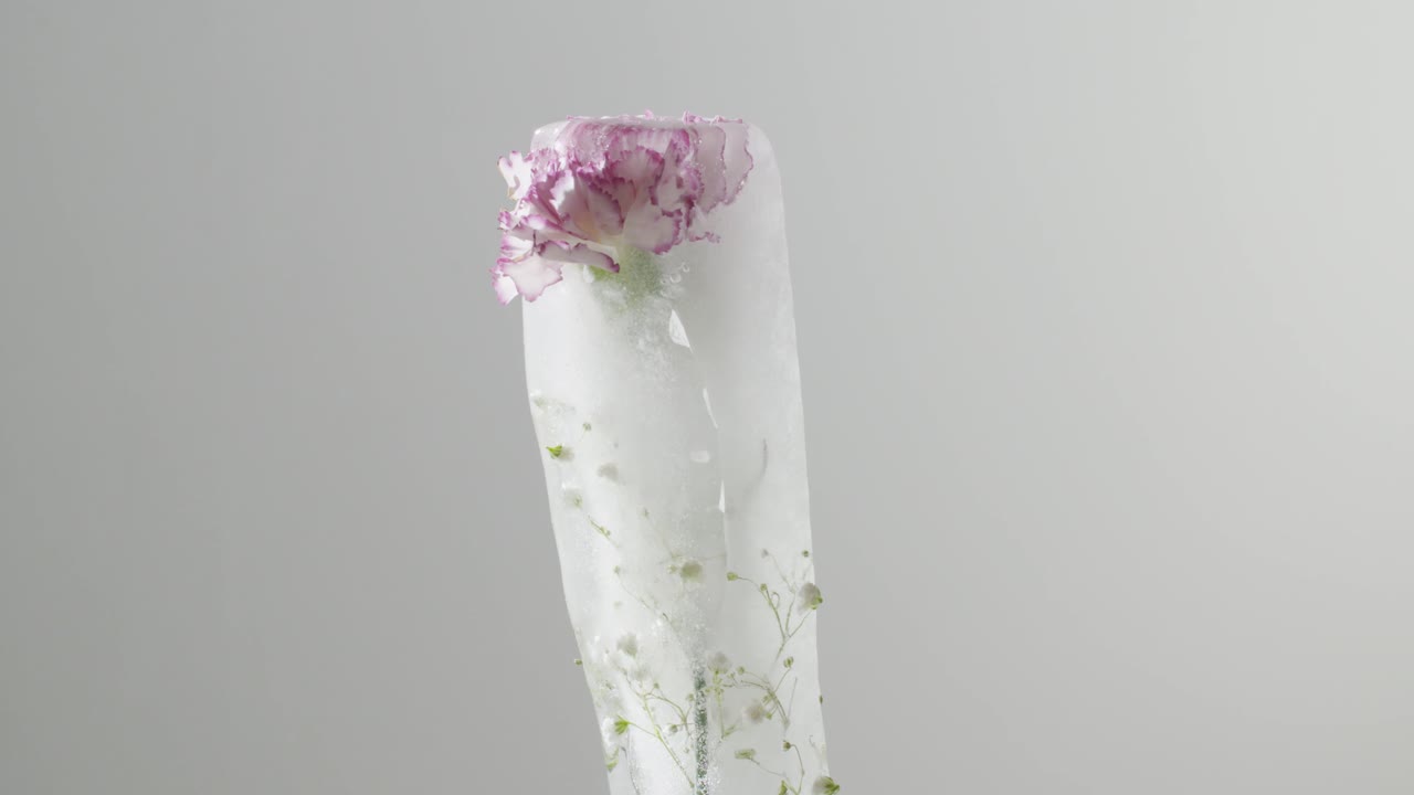 얼어붙은 꽃이 녹는 타임스