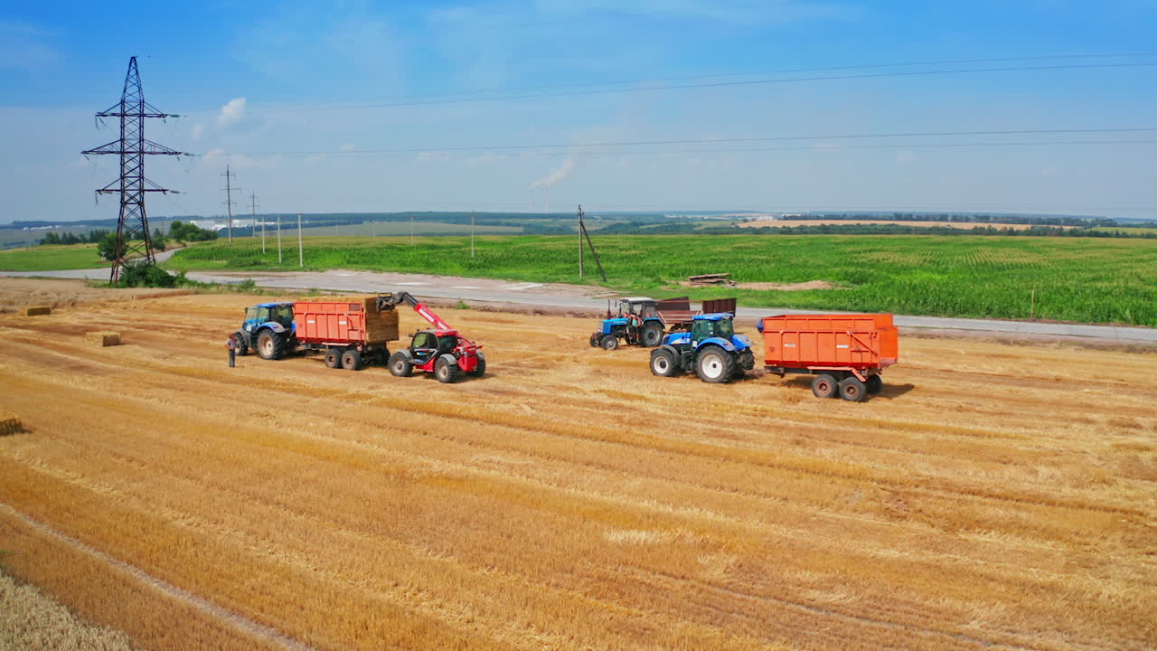 Picking bales of wheat hay at the agricultural field. Machines at farmlands work to pick up the straw left after mowing the bread.