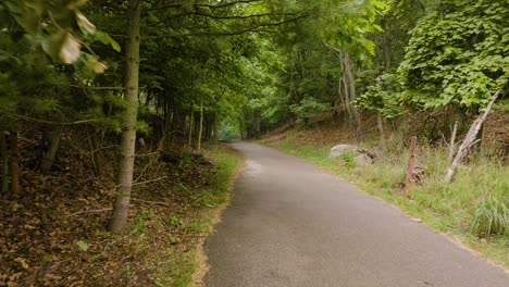 leaving a wooded jogging path at a park