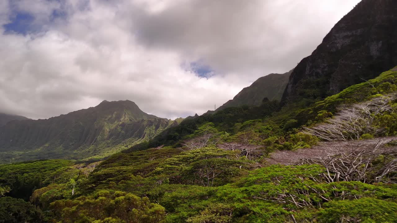 Foresta e montagne dall'alto in una giornata nuvolosa, Kaneohe, Oahu, Hawaii