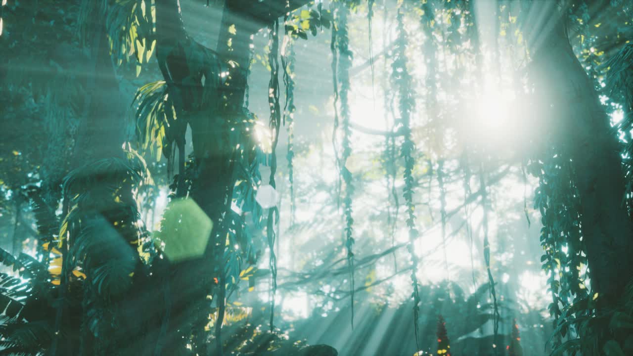 안개 속 깊은 열대 정글 열대 우림