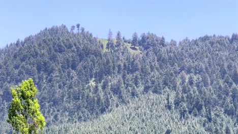 beauty of rural india and farmers land, nature beauty, hills, green fields with village life in forest area and timeless travel escapes