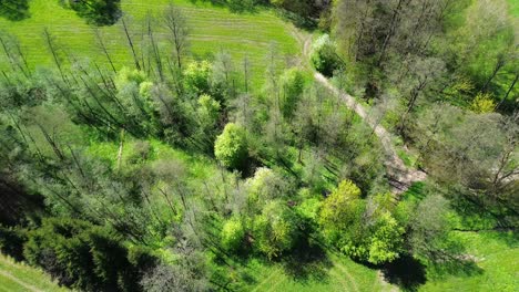 Blick-Auf-Wald-Und-Wiesen-Im-Grünen,-Im-Hintergrund-Die-Stadt