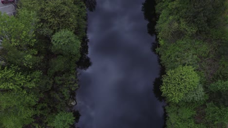 overhead-shot-of-straight,-dark-swampy-river