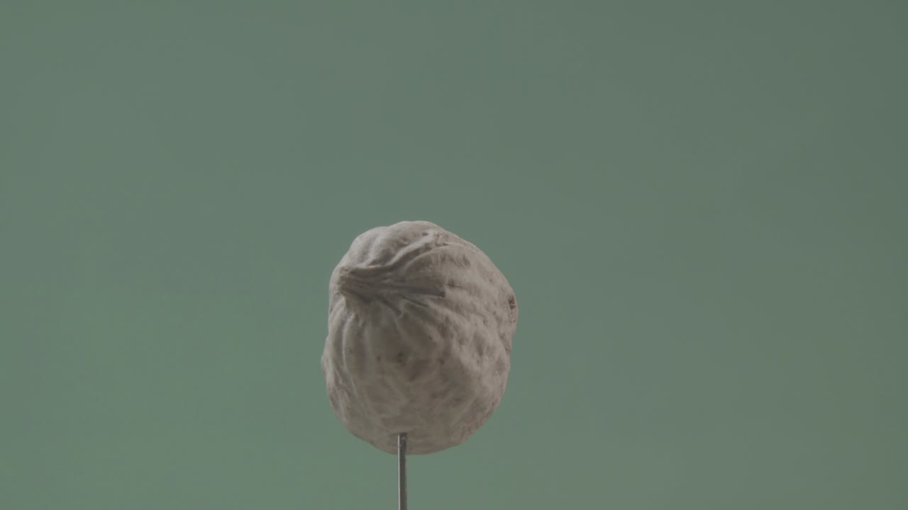 크로마 키를 위해 녹색 화면에 루프와 함께 땅콩 회전