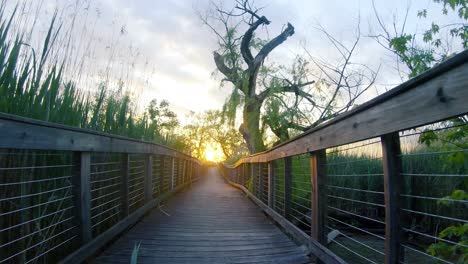 Paseo-En-Primera-Persona-Por-Un-Sendero-De-Madera,-Parque-Natural,-Cala-Hacia-La-Puesta-De-Sol-En-El-Río-Delaware,-Palmira,-Nueva-Jersey