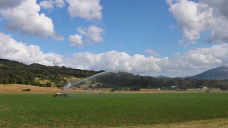 watering crops with sprinkler system in field