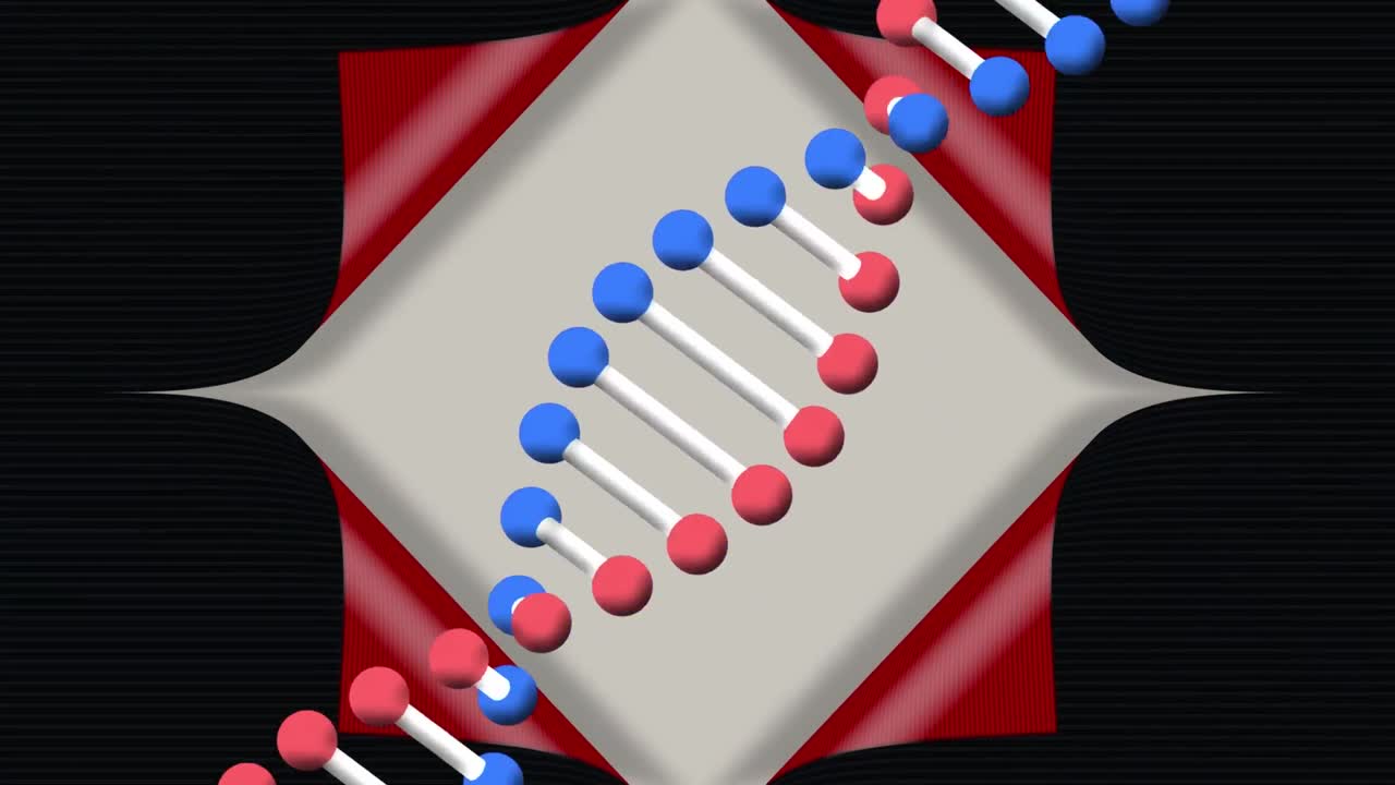 베이지색, 빨간색, 검은색 배경 위에 회전하는 dna 사슬의 애니메이션
