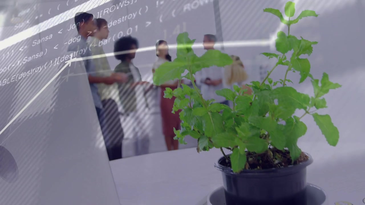 Team discussing data while camera shifting and animated code, rising graph overlaying plant, laptop
