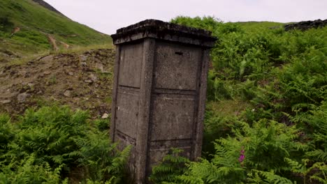 strange stone box in fern bushes along dirt path trail