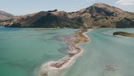 coastal bay scenery in new zealand
