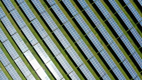 solar panels arranged in neat rows under the sun, aerial view