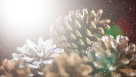 animation of snow falling over pine cones