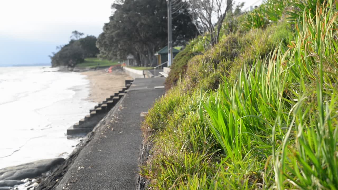 풀이 날리는 아침과 파도의 핸드헬드 샷