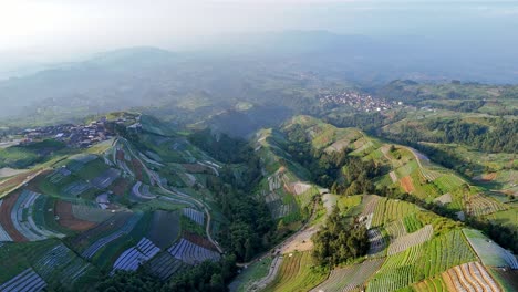 Scenic aerial view showcasing a mountainous landscape with curved terraced fields in the early morning haze. Drone flies down a hill over agricultural land, Indonesia