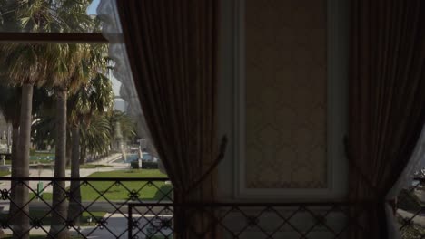 watching the historical texture through the palm trees from the room of the ottoman palace in the istanbul bosphorus