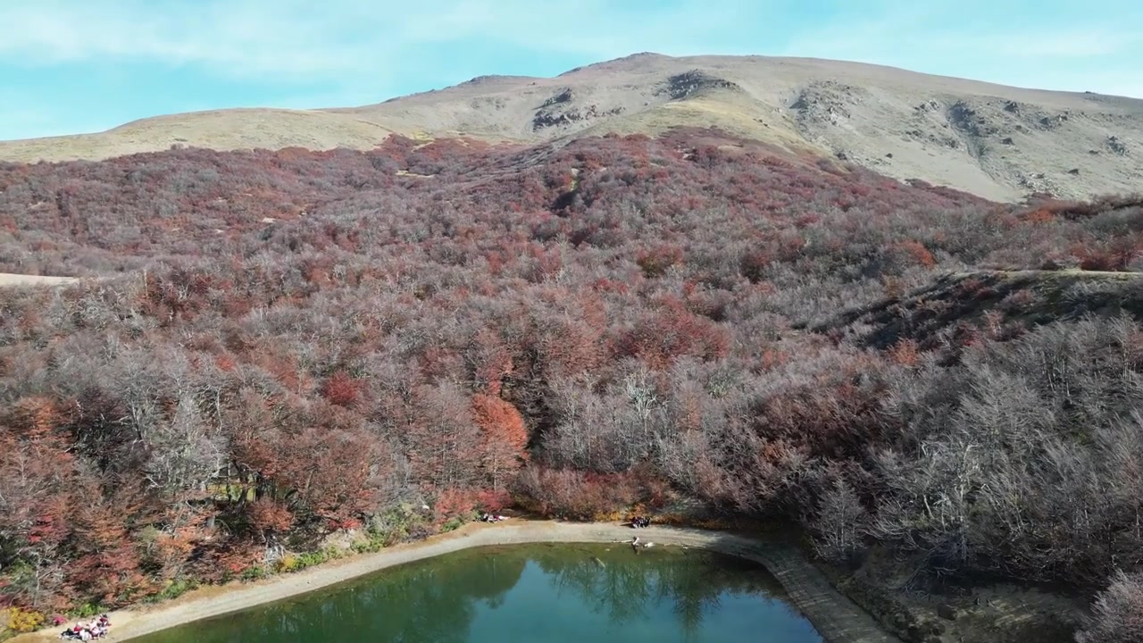 アルゼンチンパタゴニアの、紅葉した木々が湖面に映る上昇空撮。