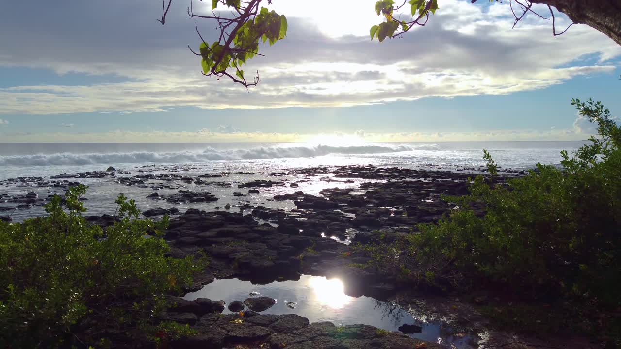 4K Hawaii Kauai boom down through backlit branches to ocean waves crashing on lava rocks to reveal sun reflecting in pool and greenery in foreground with bright partly cloudy sky