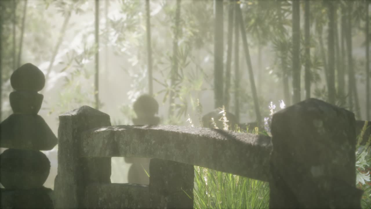 일본 대나무 숲 과 녹색 초원 잔디 와 자연 빛