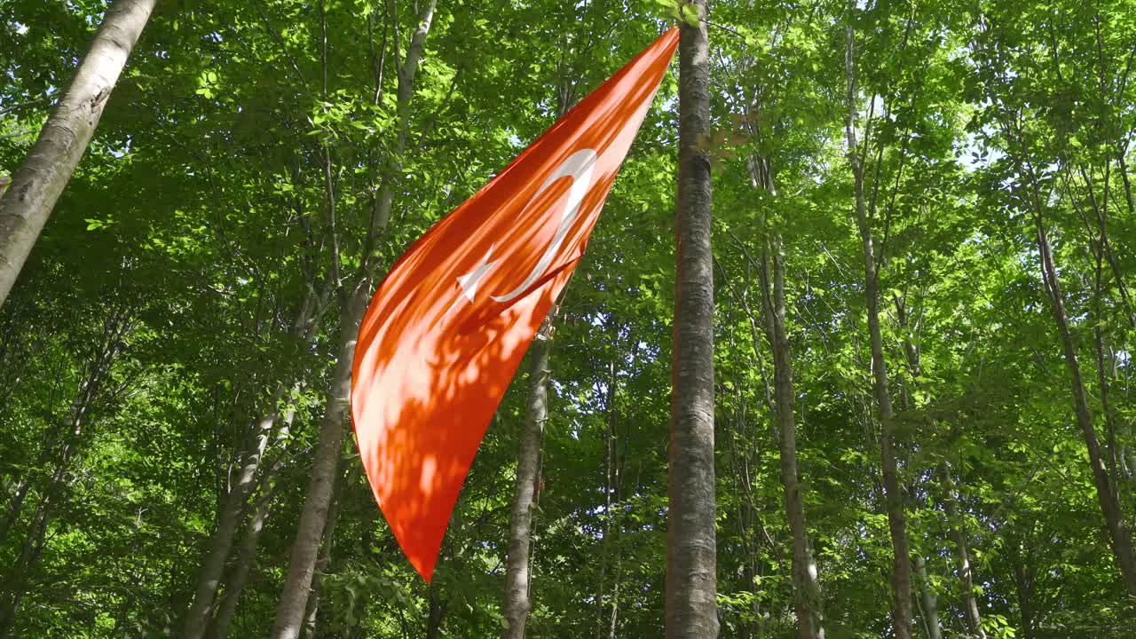 la bandera turca colgando en la naturaleza.