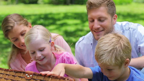 family looking into a picnic basket