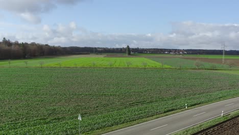 View-over-a-green-field-and-a-transporter-and-a-passenger-car-are-passing-the-road-part-in-the-foreground