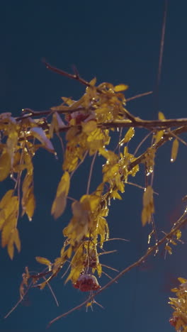 primer plano de una rama de árbol desnuda brillando bajo la luz de la calle dorada, con hojas congeladas y ramas heladas brillando suavemente, en contra del cielo azul profundo de la noche