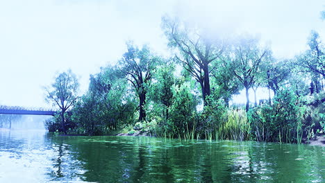 Tranquil riverbank scene with lush greenery and calm waters