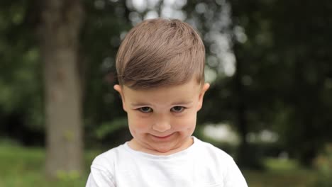 the joyful lad with a bright smile stands amidst t 4k 2025 08 05 02 12 10 utc.mov | adventurous, alone, arms, boy