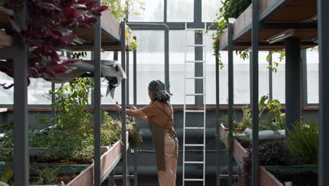 jardinero que trabaja en interiores
