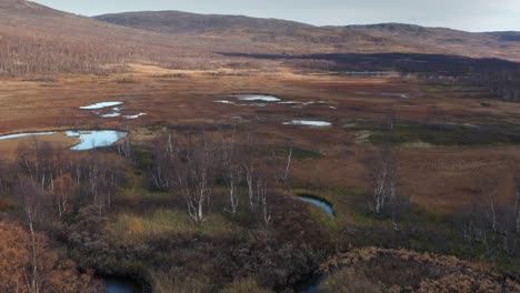 aerial view of the autumn tundra