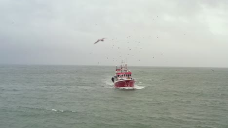 front aerial view of fishing boat, drone pullsback as seagulls swarm above vessel