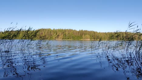 calm lake scenery with water moving slowly in the wind