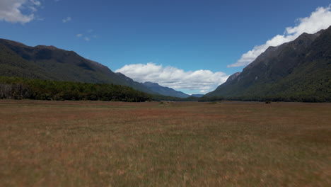 Low-aerial-dolly-shot-over-a-tall-brown-grass-in-a-mountain-valley-in-Fiordland-Southland,-New-Zealand