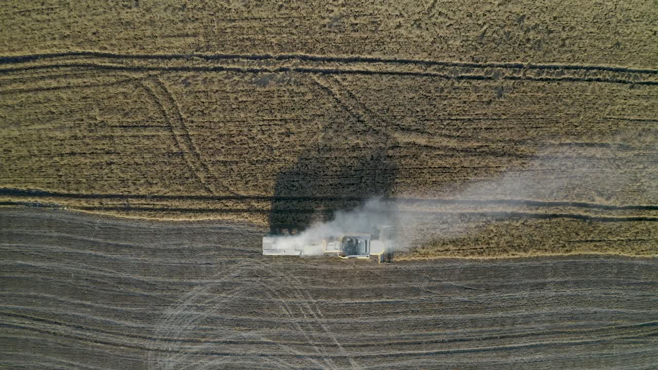 풀로 가득 찬 트레일러를 고 있는 트랙터를 타고 있는 농부.