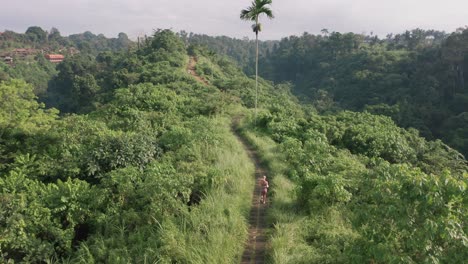 woman exercising cardio running workout in morning on green tropical campuhan ridge