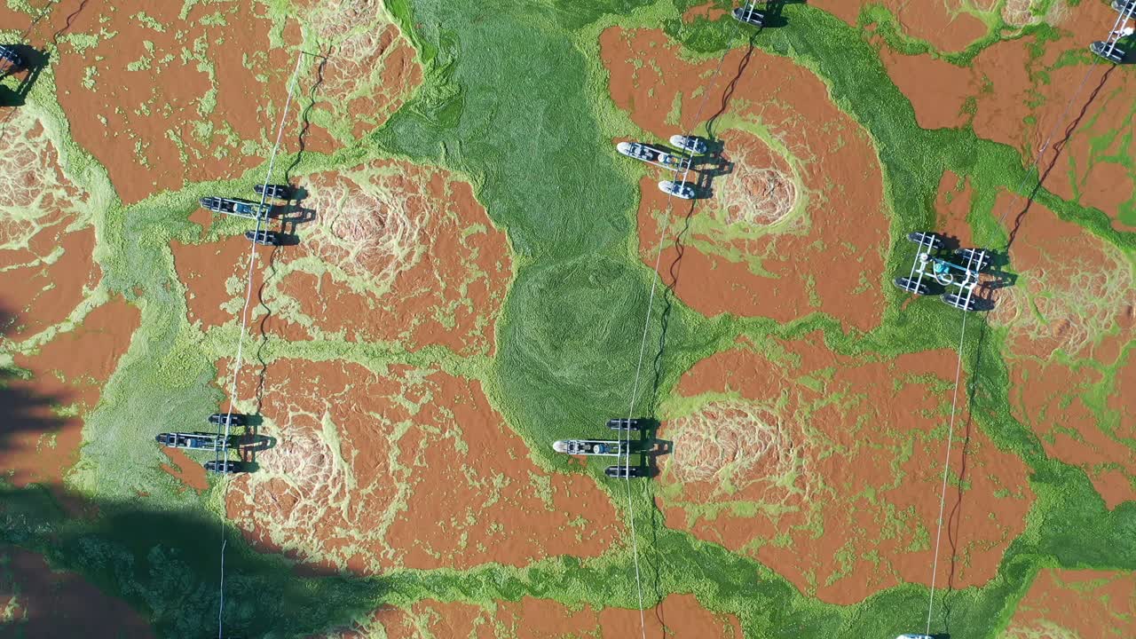 물 처리를 위한 떠다니는 기계가 있는 해조류 농장