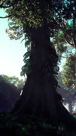 a tall tree in a lush forest