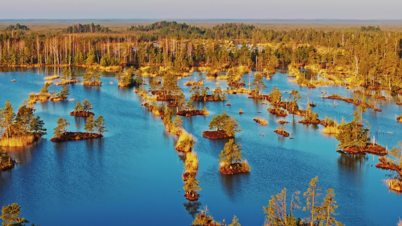 Forward drone flight over reflective marsh waters in Kemeri Park during sunrise