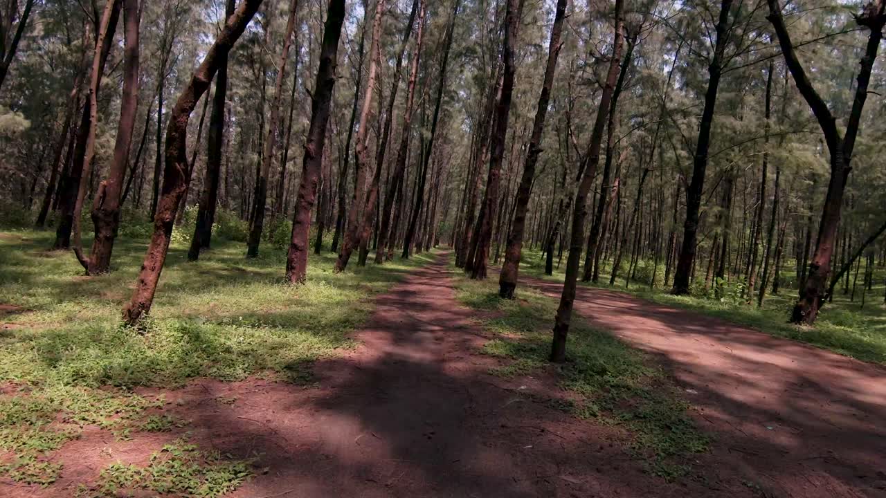 фпв дронные кадры пляжа наргол, гуджарат