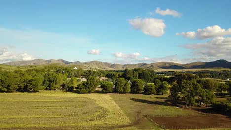 rural houses in a tranquil village surrounded by green trees on a fine weather