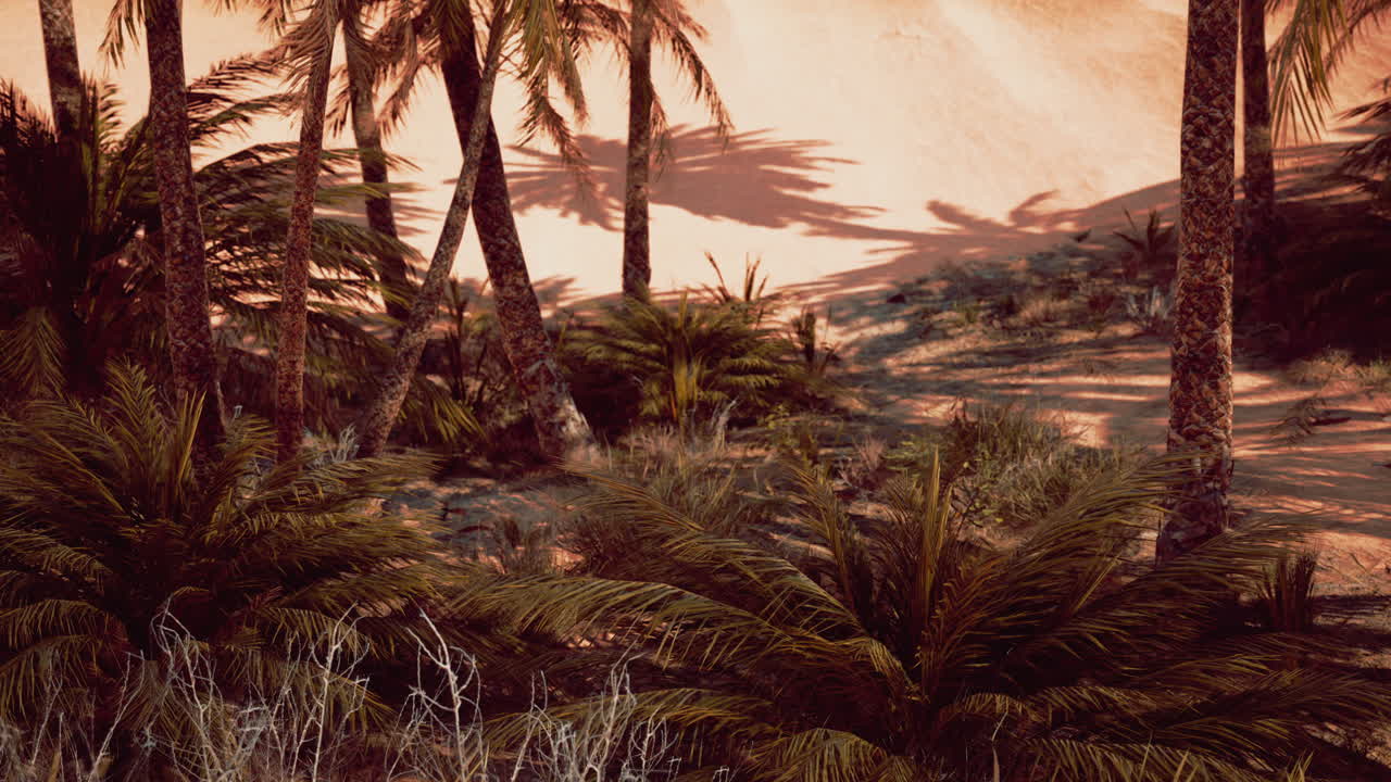 해가 지는 날짜의  ⁇  농장