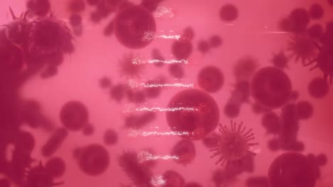 Animation-Eines-Brennenden-Dokuments-über-Rotierendem-3D-DNA-Strang,-über-Sich-Bewegenden-Zellen-Auf-Rosa