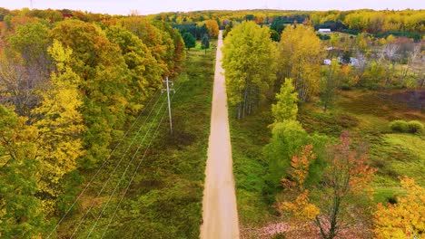 Leaves-hanging-heavy-near-a-dirt-road-after-a-night-rainstorm-in-Autumn