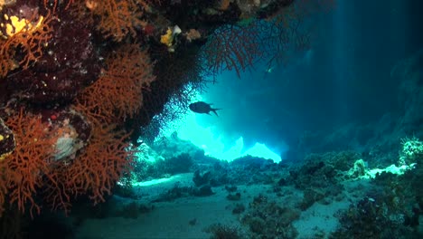 Unterwasserhöhle-Mit-Korallen-Und-Sonnenlicht,-Das-Durch-Korallenöffnungen-Scheint