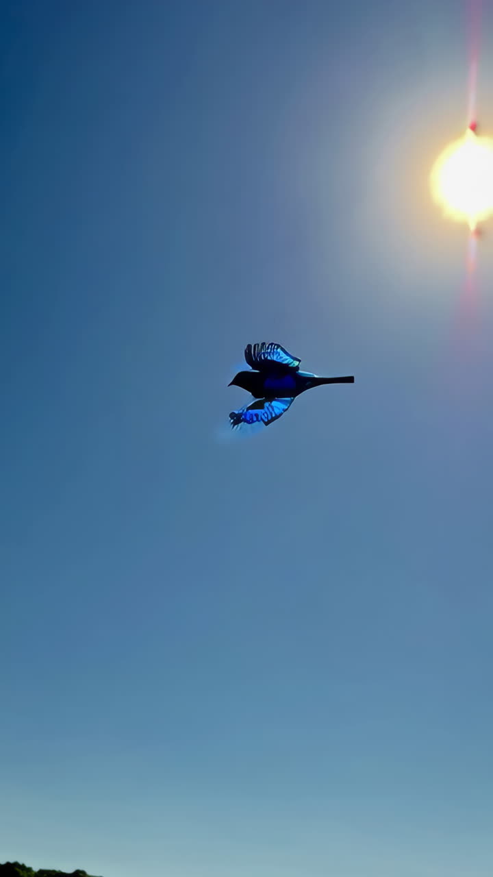 A vivid blue bird soaring against a vibrant blue sky