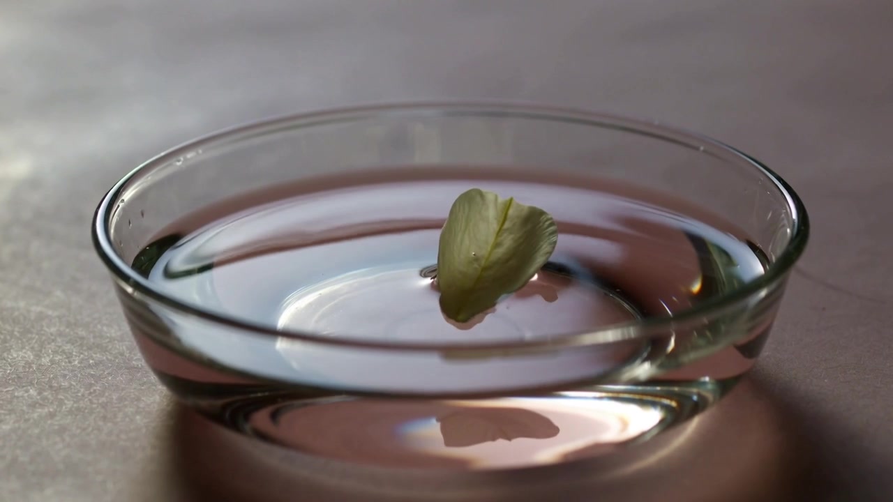 Foglia che cade sull'acqua increspata, galleggiando su un piatto su un tavolo, mostrando riflessi e ombre.