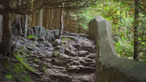 cerca de las rocas que bordean una vieja pared abandonada en un sendero forestal en milton