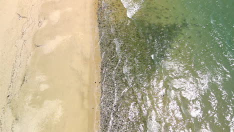 las olas que golpean la orilla en el paraíso, queensland tropical australia